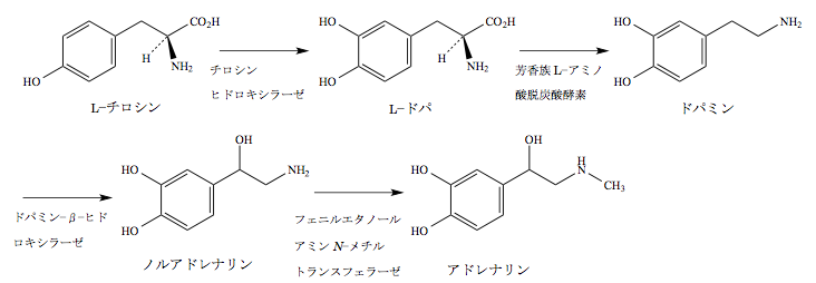 解説画像